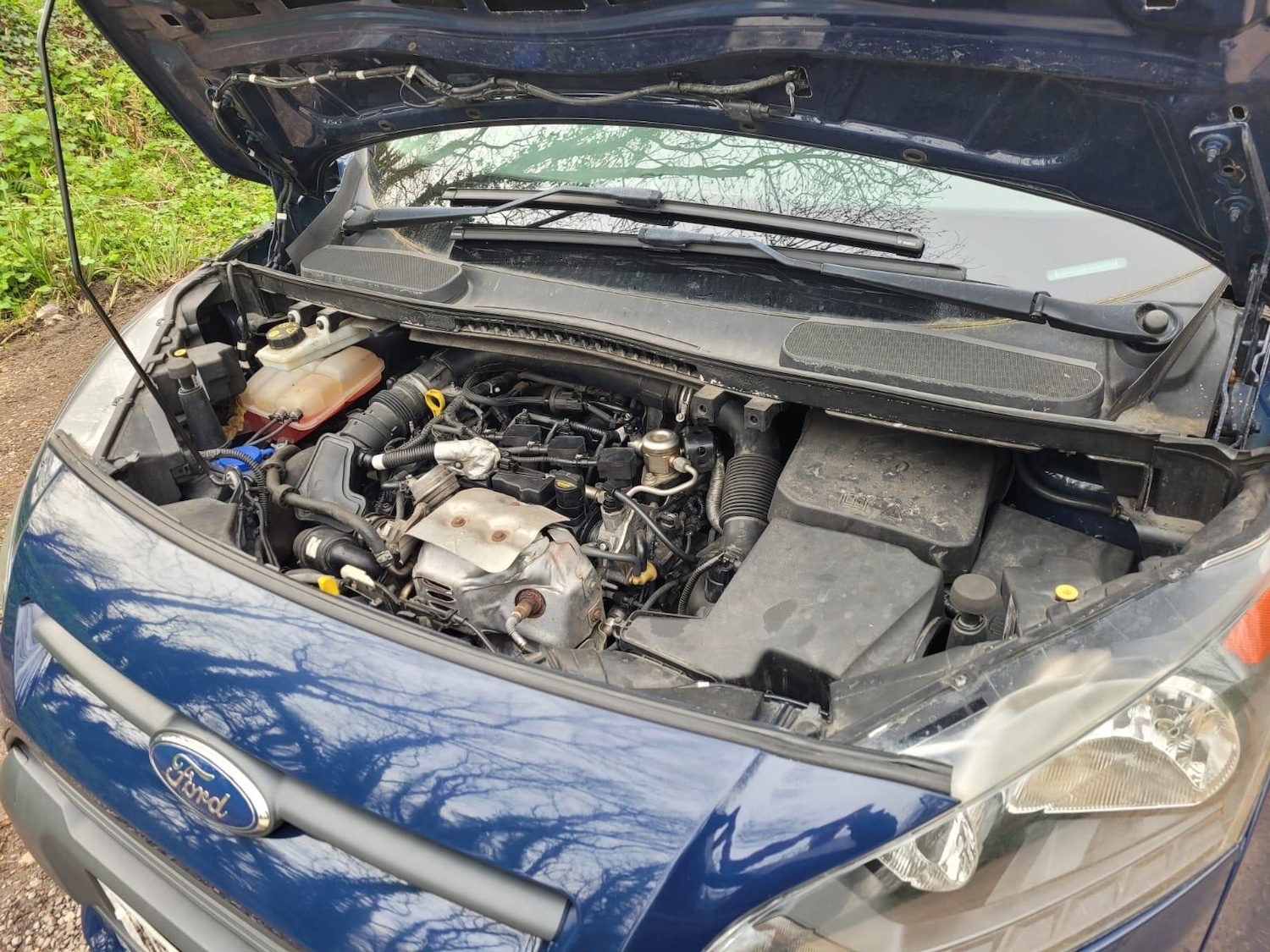 Used Ford Transit Connect 2017 for sale - 78006710: Photo 21