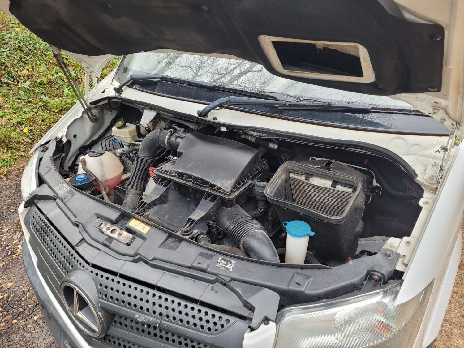 Used Mercedes-Benz Sprinter for sale - 77611908: Photo 16