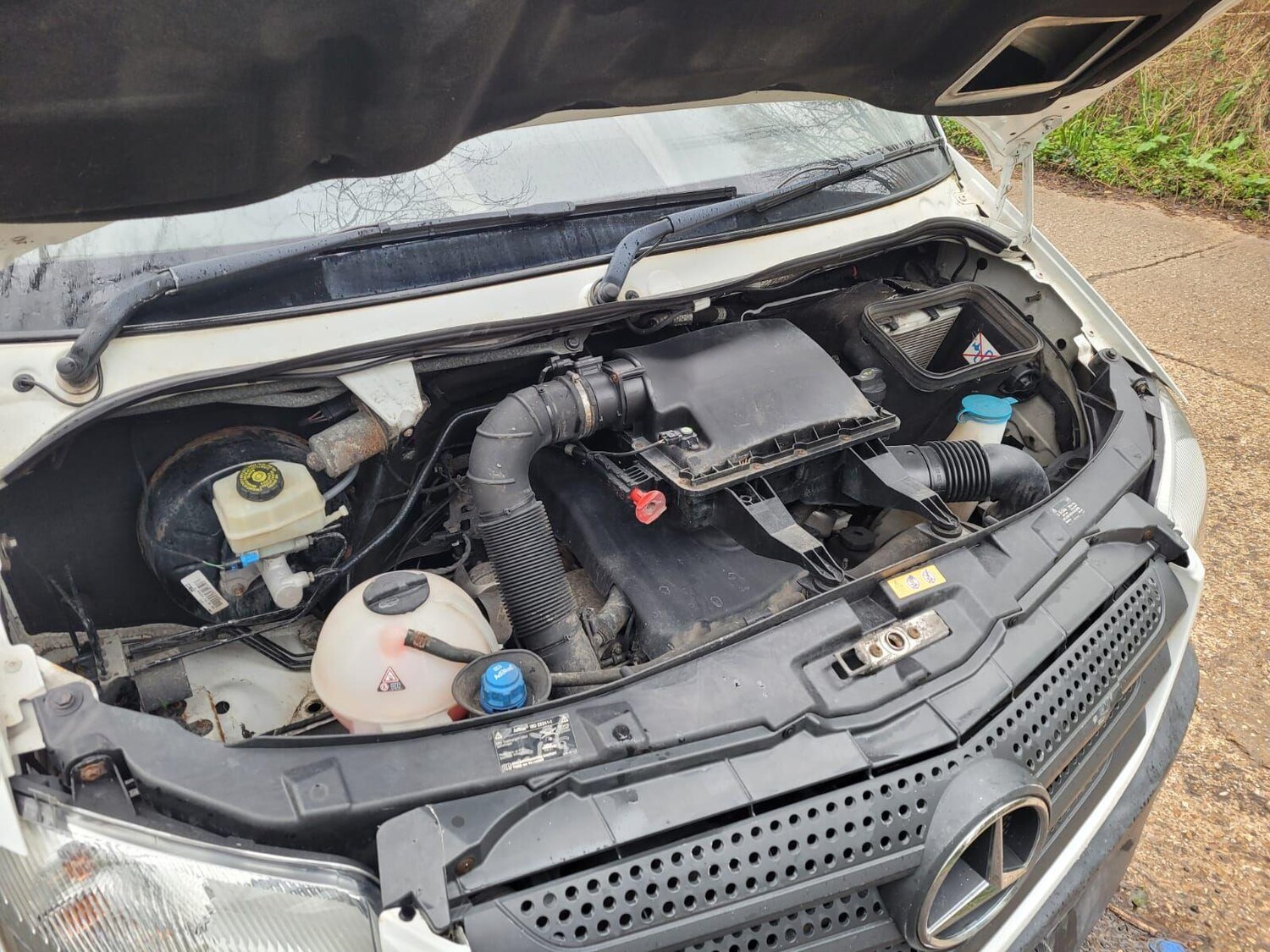 Used Mercedes-Benz Sprinter for sale - 77611908: Photo 17