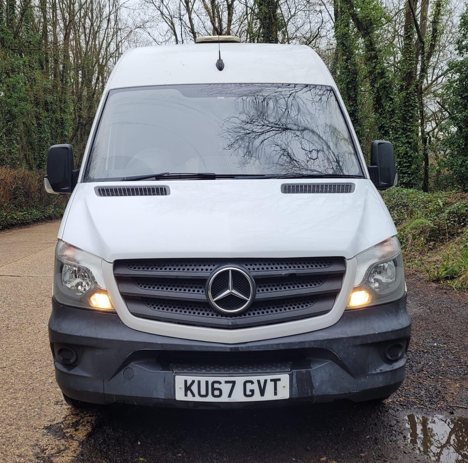 Used Mercedes-Benz Sprinter for sale - 77611908: Photo 2
