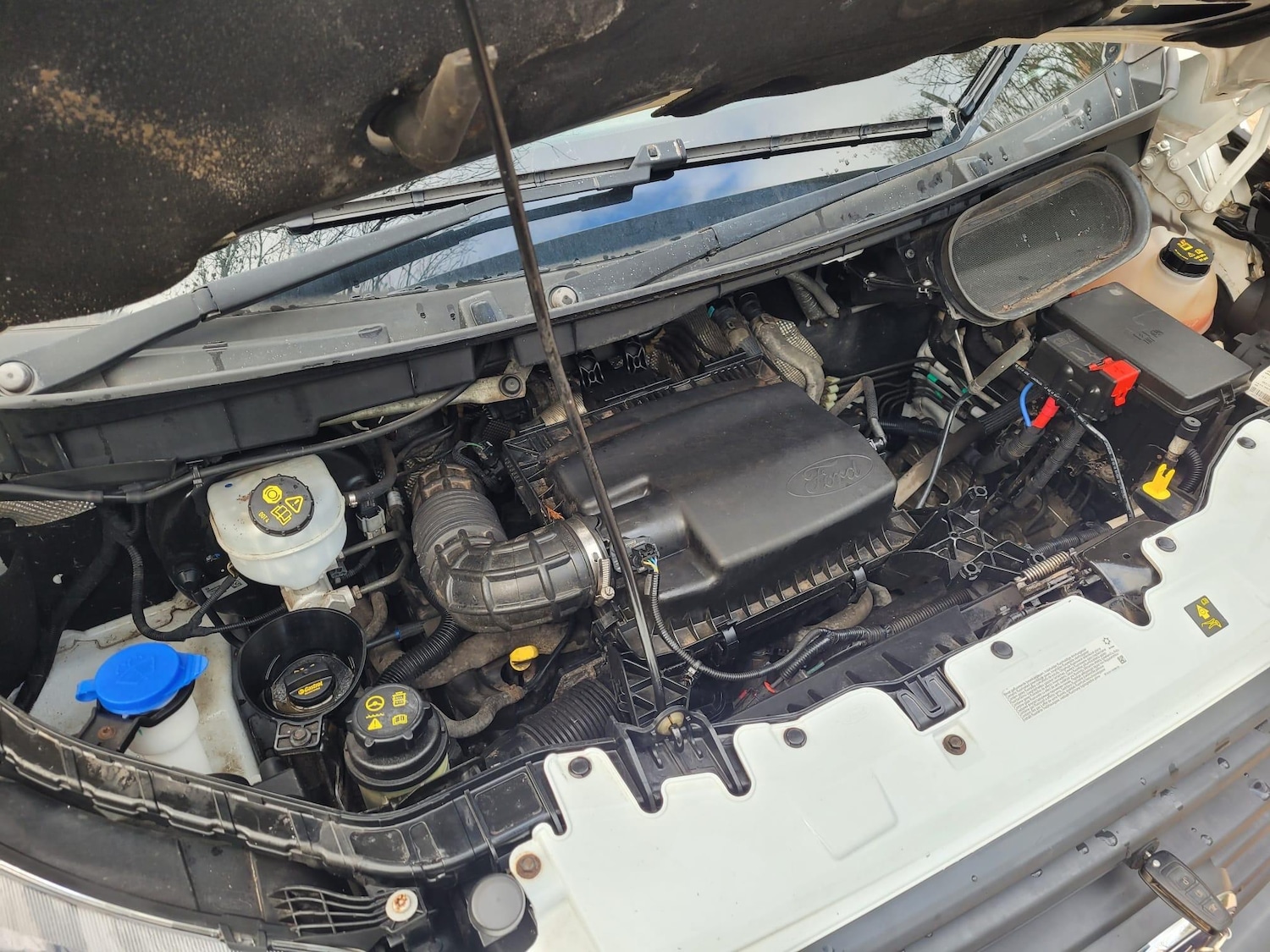 Used Ford Transit 2018 for sale - 76990641: Photo 29