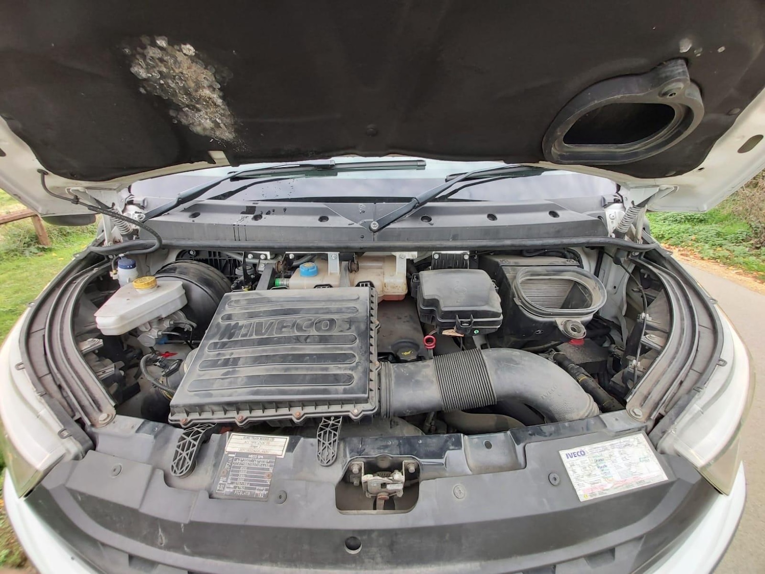 Used Iveco Daily 2019 for sale - 76072459: Photo 37