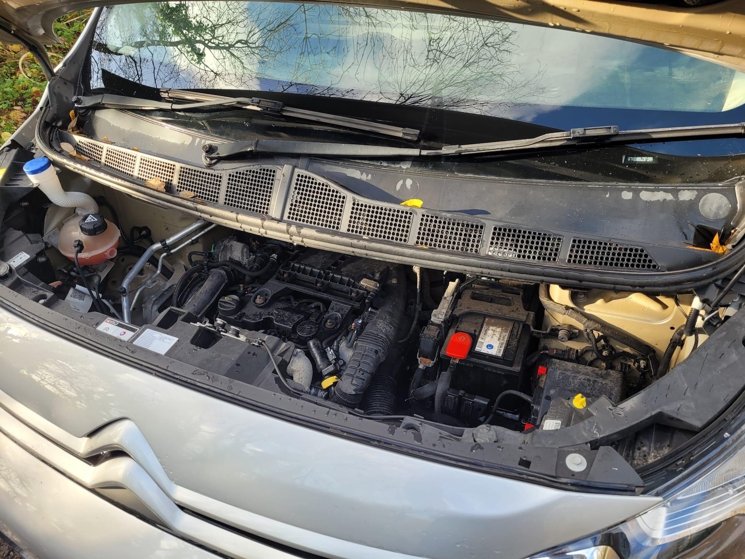 Used Citroen Dispatch 2018 for sale - 76899180: Photo 19