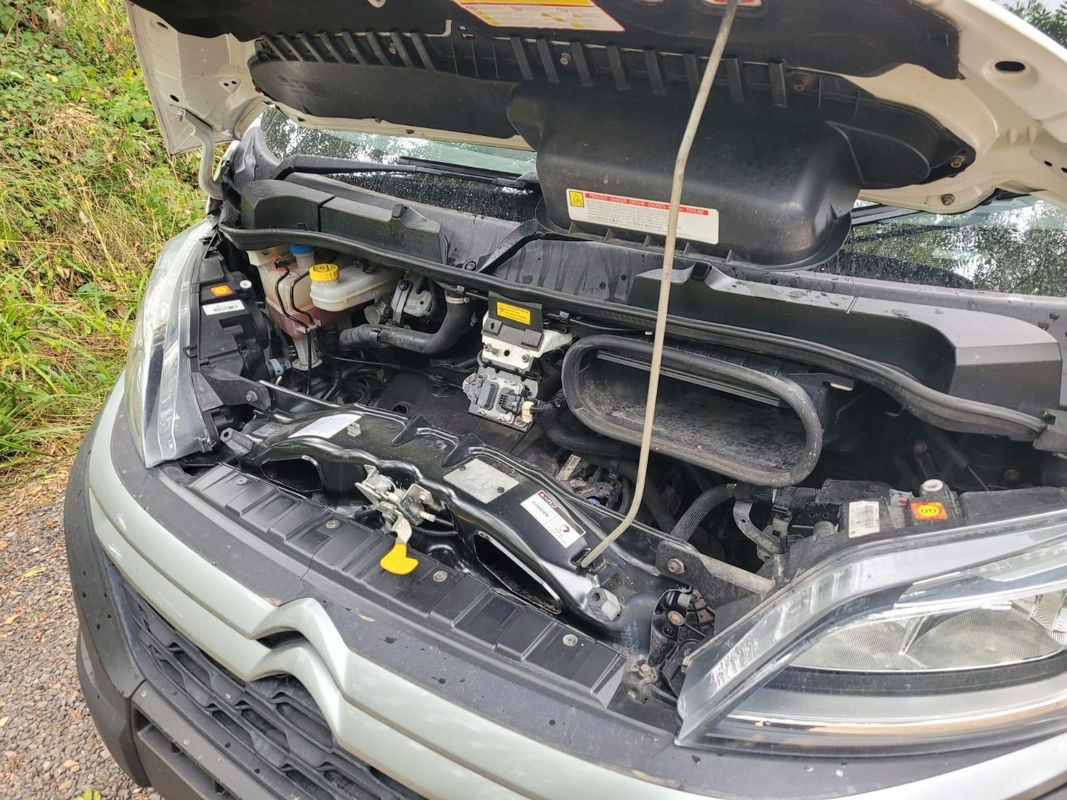 Vehicle 24