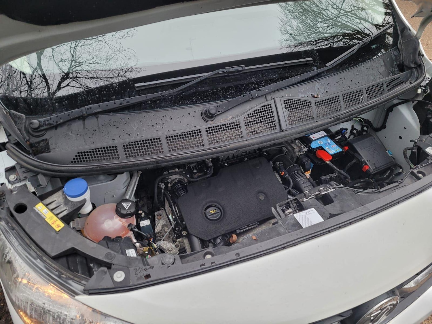 Used Vauxhall Vivaro 2020 for sale - 77039966: Photo 20