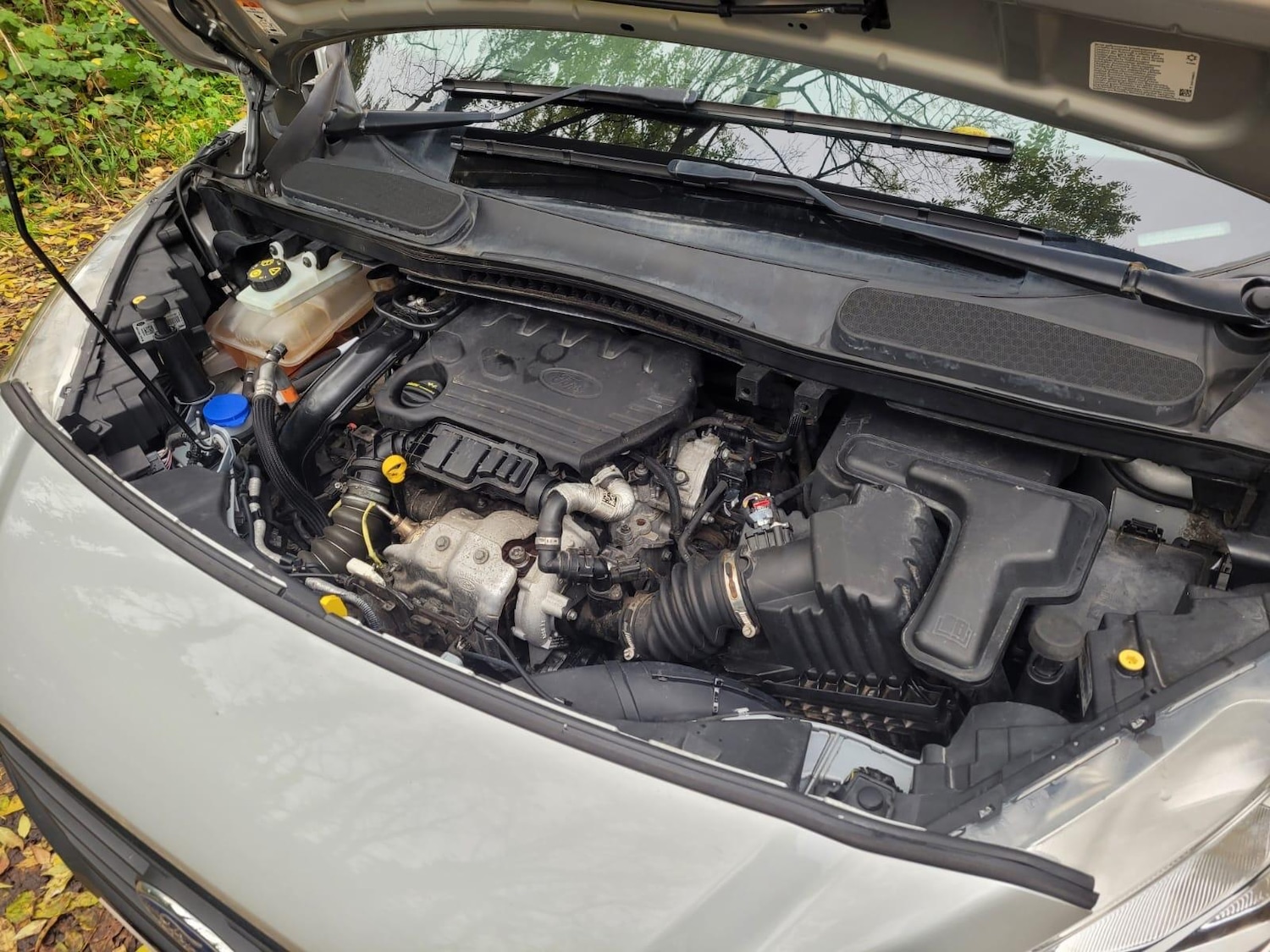 Used Ford Transit Connect 2019 for sale - 76084805: Photo 25