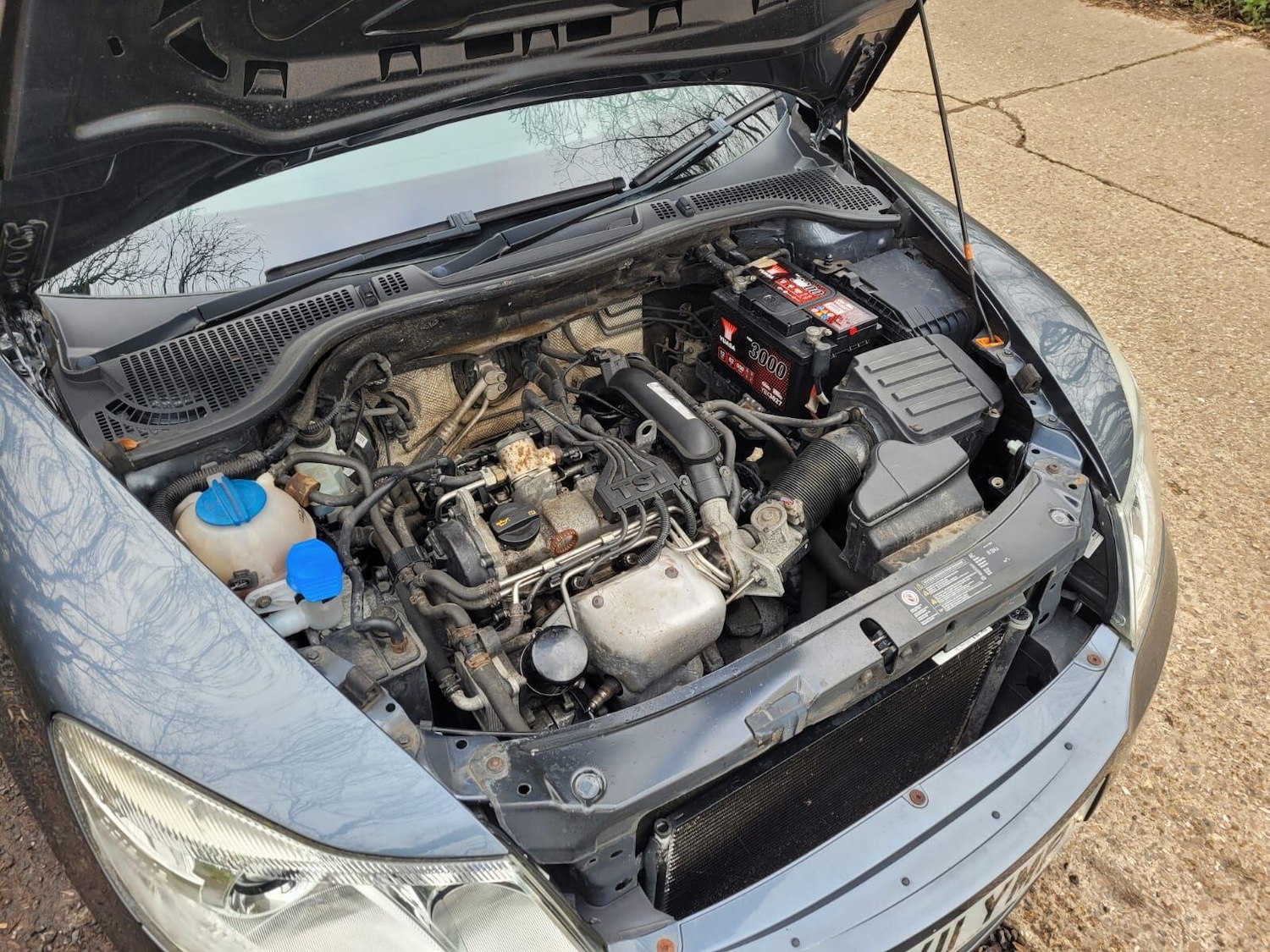 Used Skoda Octavia for sale - 77659072: Photo 23