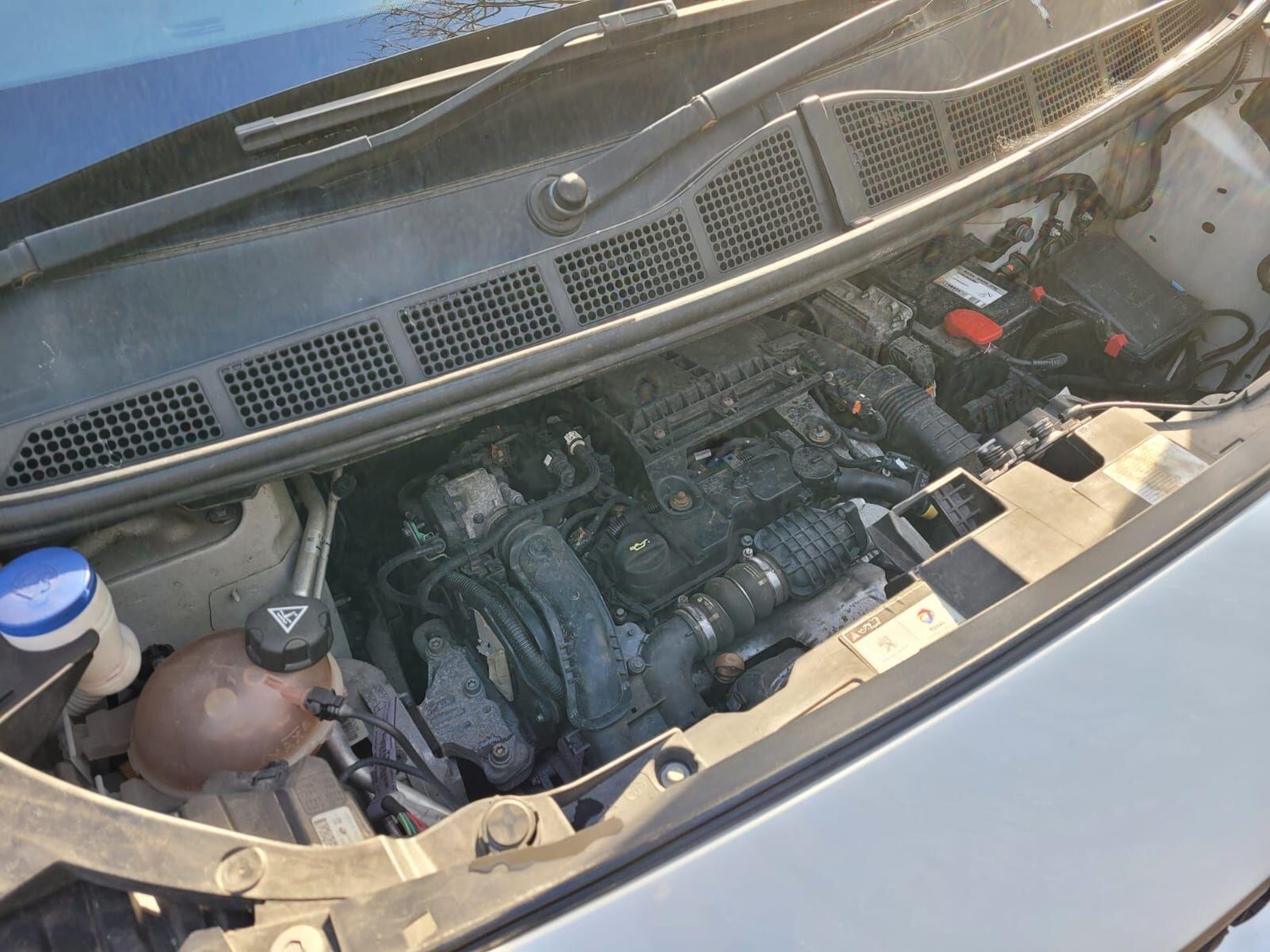 Used Peugeot Expert 2019 for sale - 77574120: Photo 15