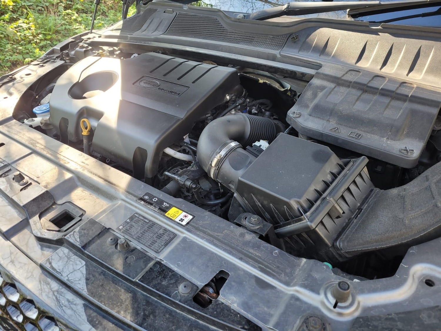 Used Land Rover Range Rover Evoque for sale - 77958318: Photo 23