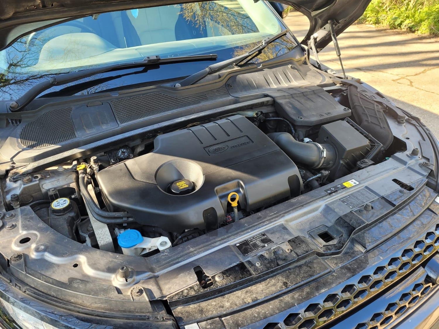 Used Land Rover Range Rover Evoque for sale - 77958318: Photo 24