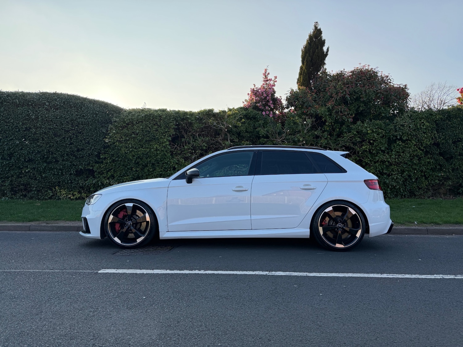 Used Audi RS3 2016 for sale - 78007915: Photo 12