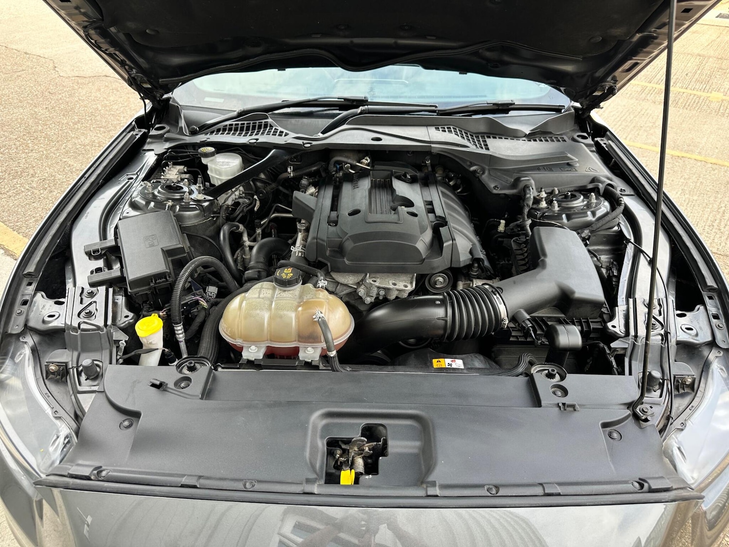 Vehicle 65