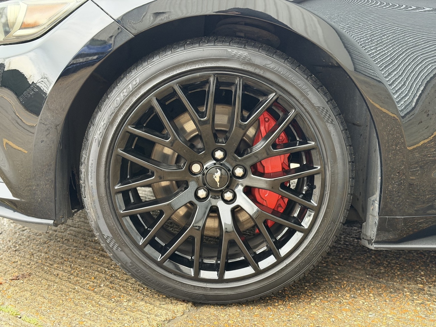 Used Ford Mustang 2017 for sale - 76945421: Photo 29