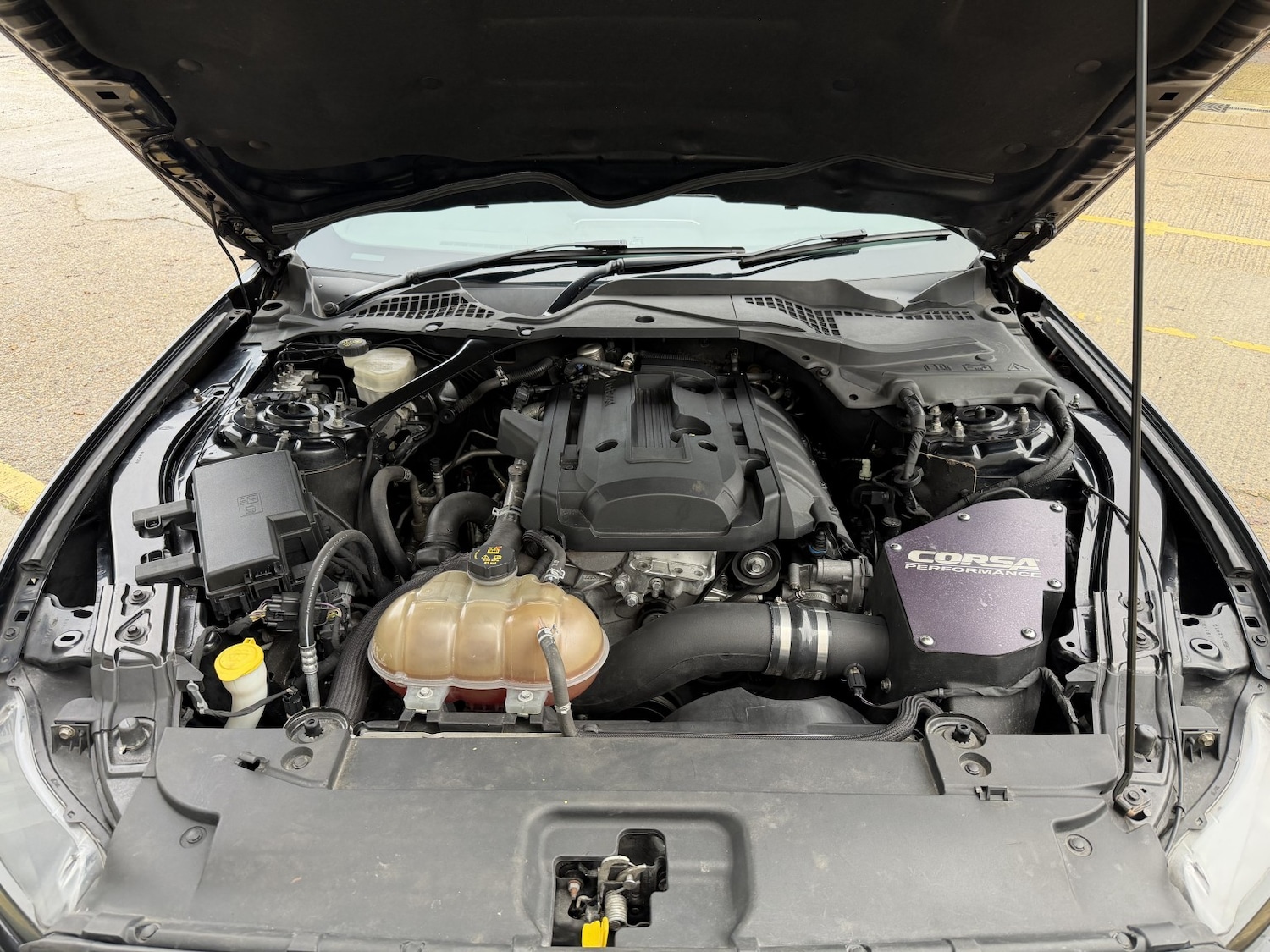 Used Ford Mustang 2017 for sale - 76945421: Photo 64