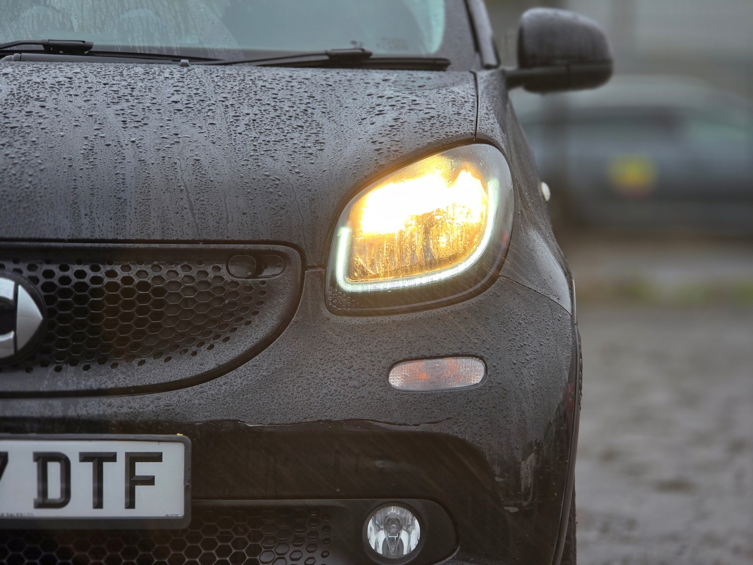 Used smart forfour 2017 for sale - 77532625: Photo 13