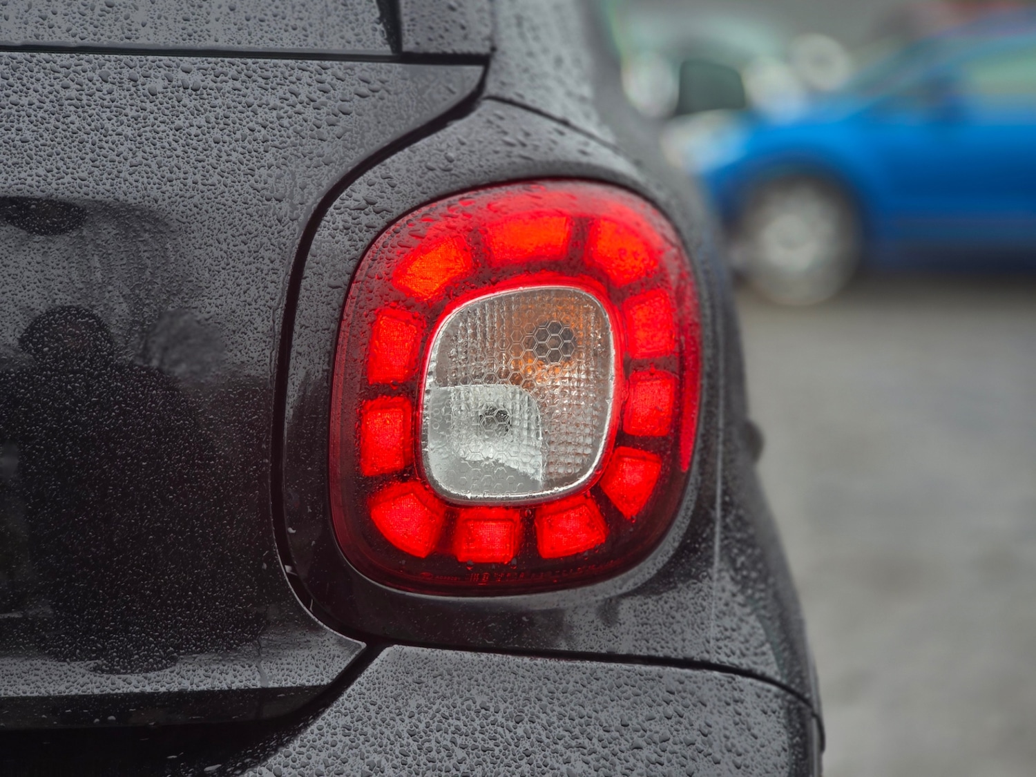 Used smart forfour 2017 for sale - 77532625: Photo 14