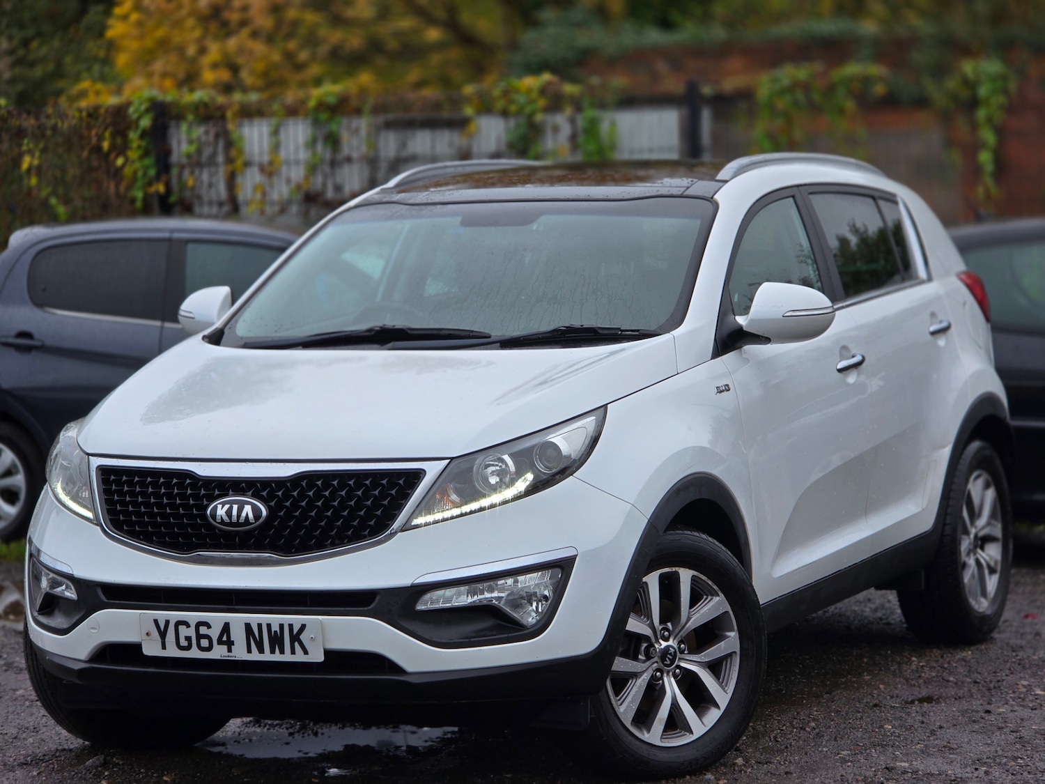 Used Kia Sportage 2014 for sale - 76402274: Photo 2