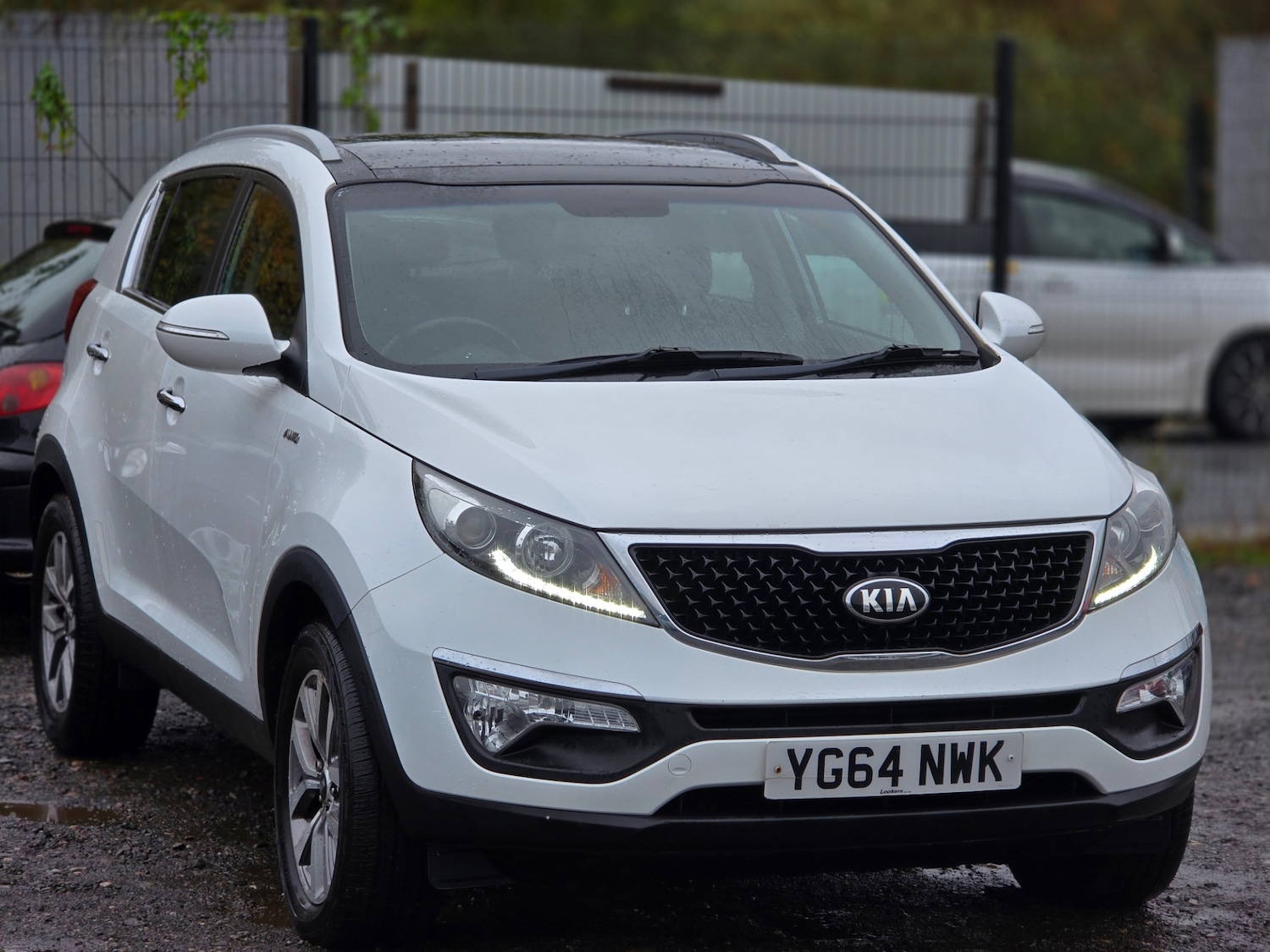 Used Kia Sportage 2014 for sale - 76402274: Photo 4