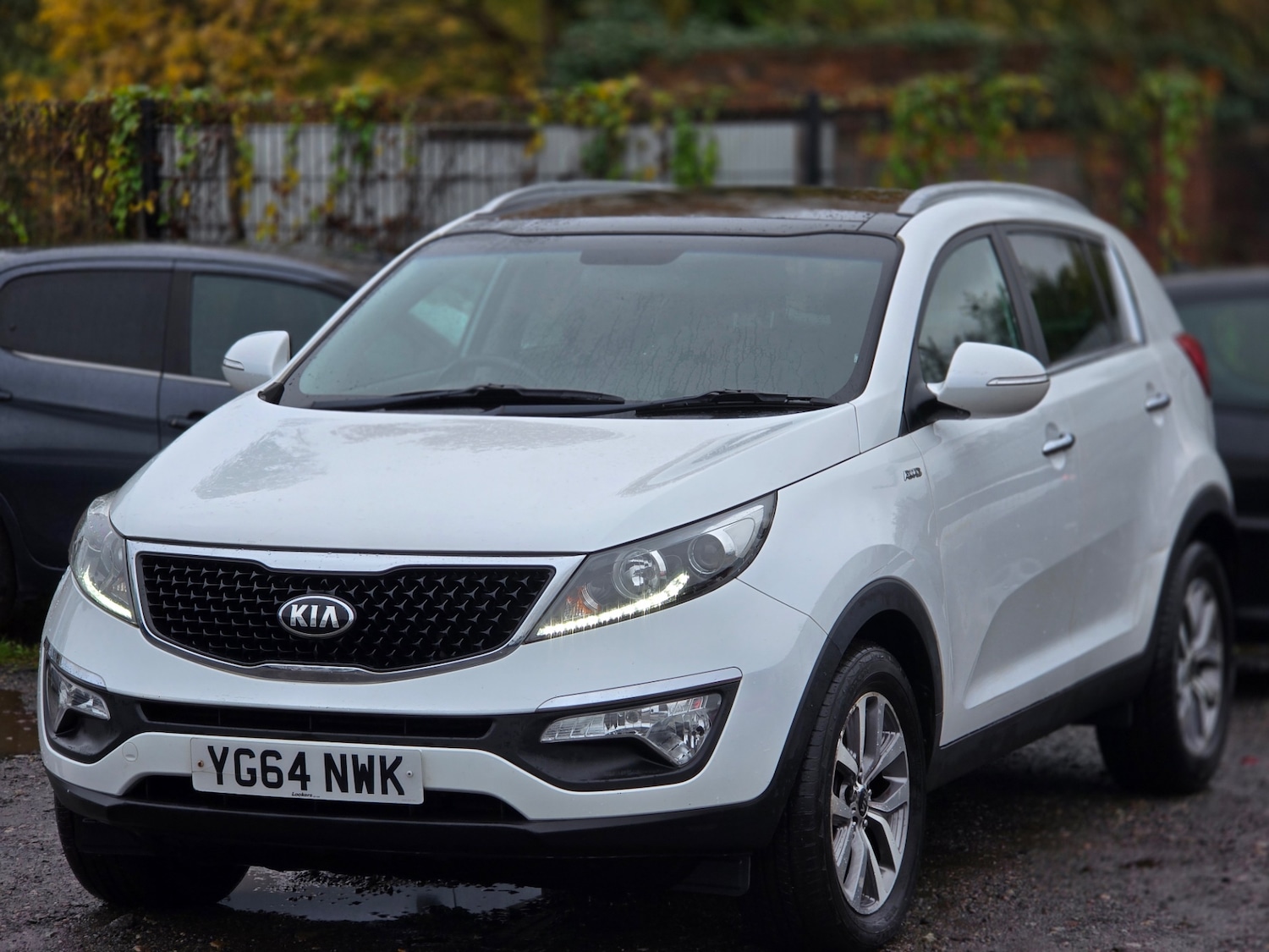 Used Kia Sportage 2014 for sale - 76402274: Photo 6