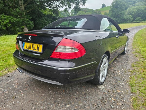 Used Mercedes-Benz CLK 2009 for sale - 74940801: Photo 5