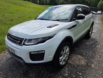 Used Land Rover Range Rover Evoque 2017 for sale - 78804282: Photo