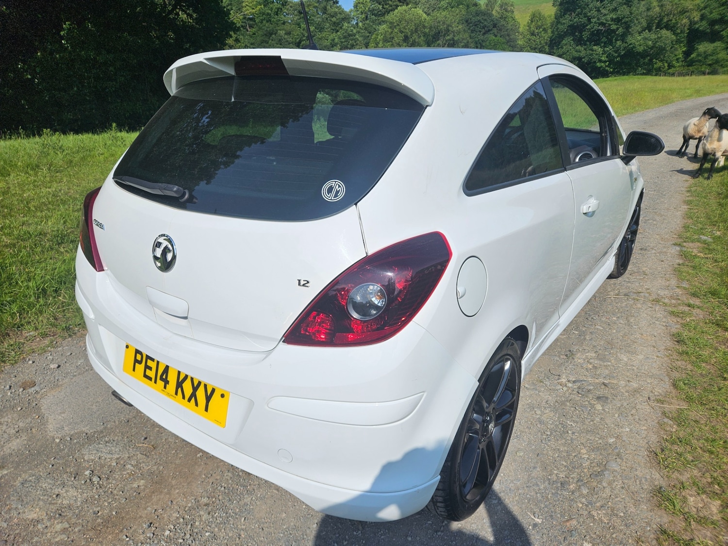 Vehicle 6