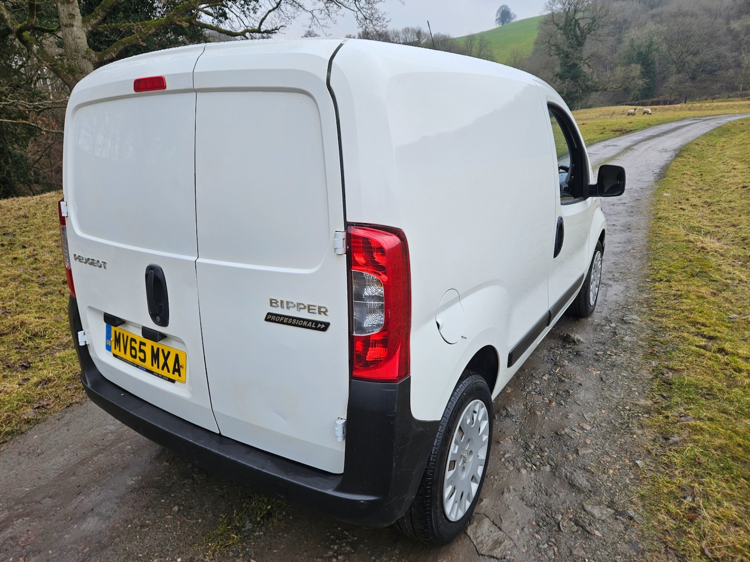Vehicle 6