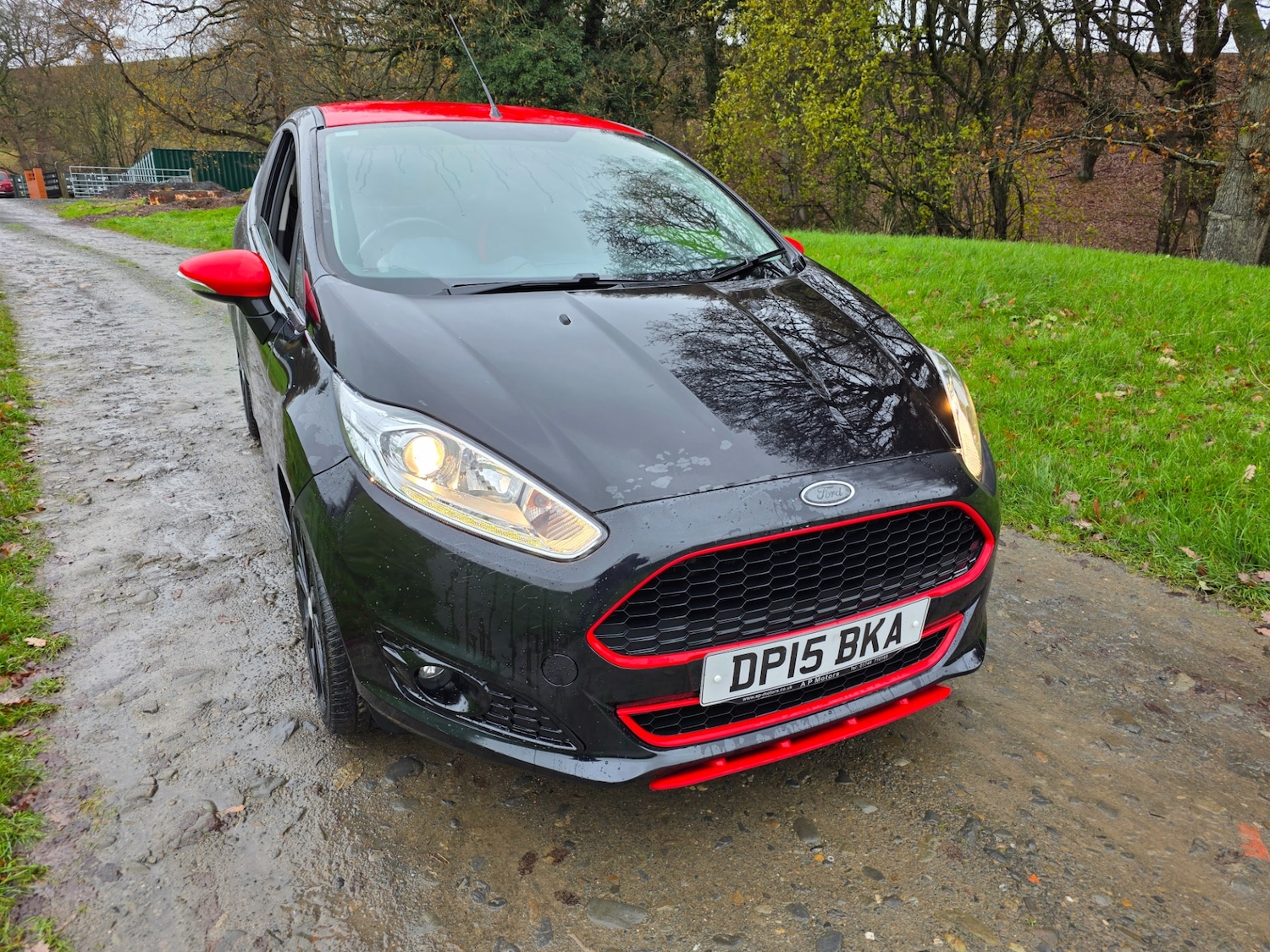 Used Ford Fiesta 2015 for sale - 76763141: Photo 2