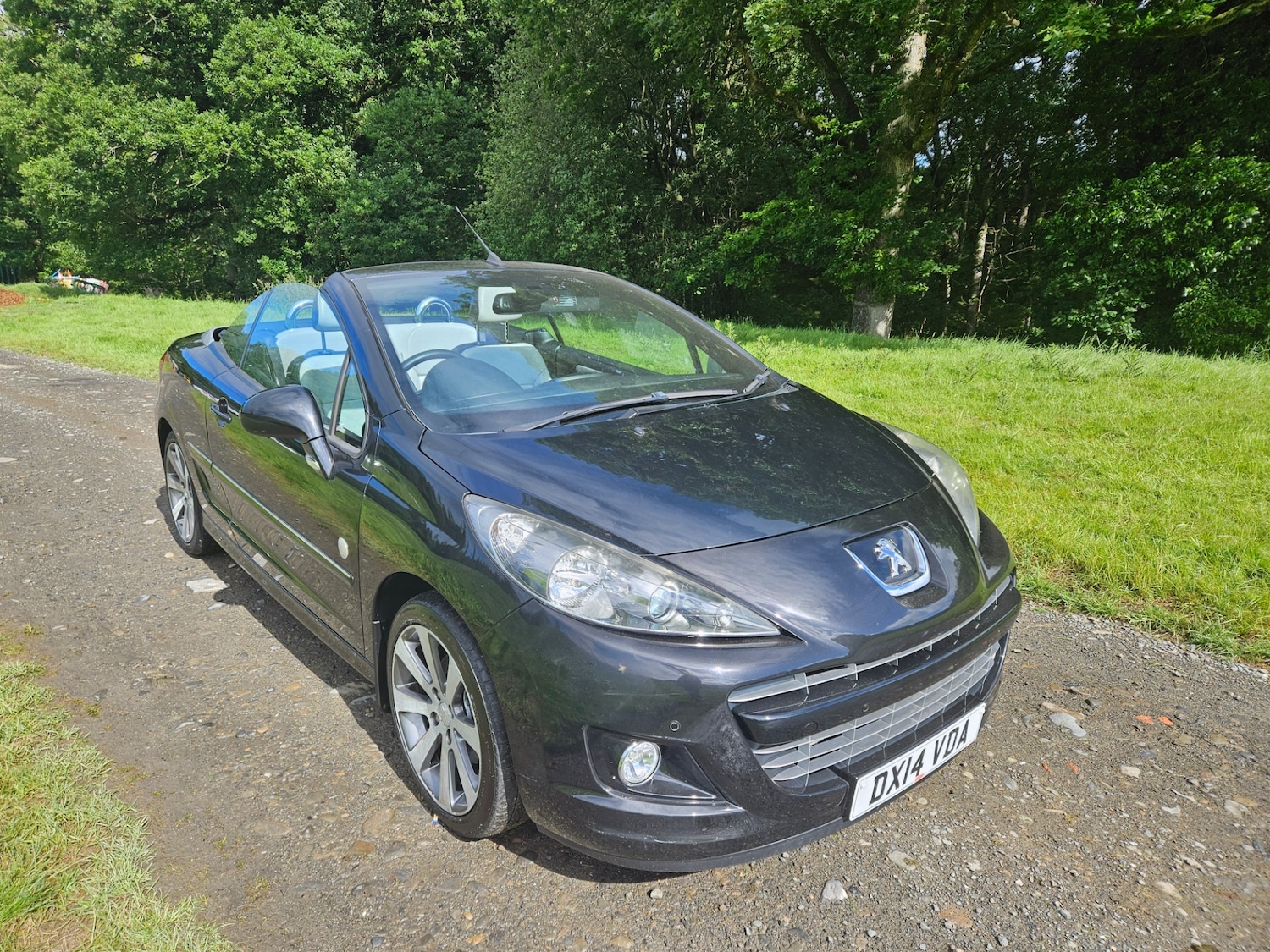 Vehicle 1