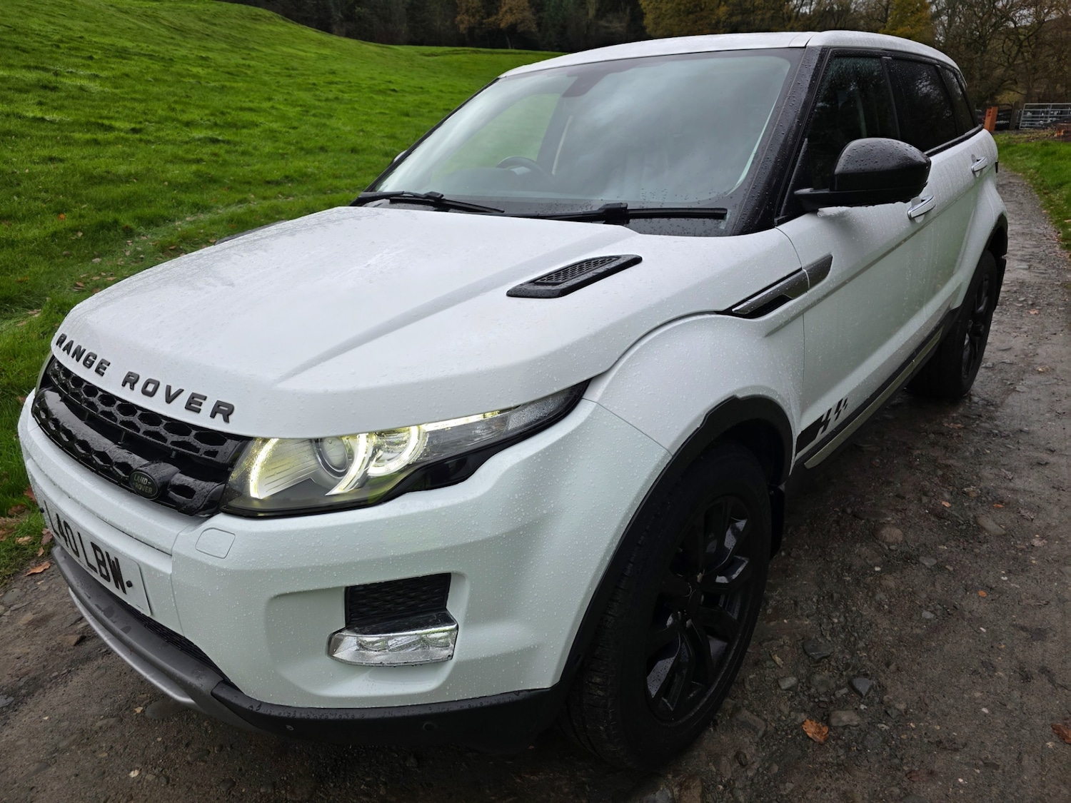 Used Land Rover Range Rover Evoque 2014 for sale - 76677992: Photo 3