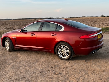 Used Jaguar XF 2013 for sale - 75960223: Photo