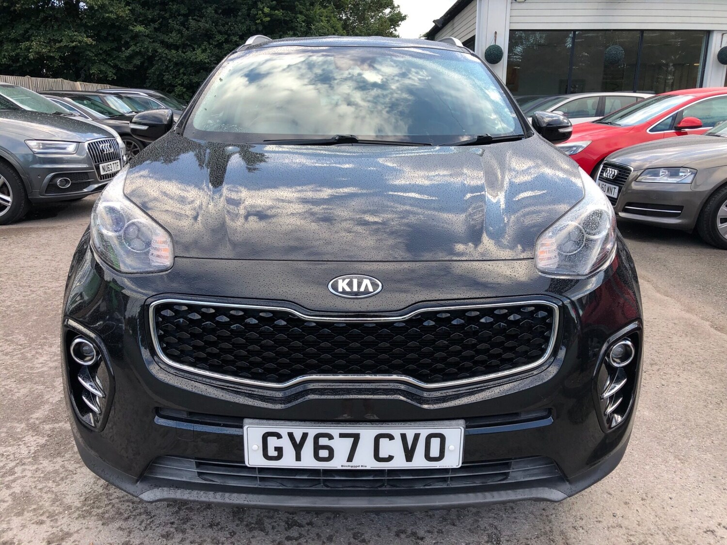 Used Kia Sportage 2017 for sale - 75739739: Photo 16