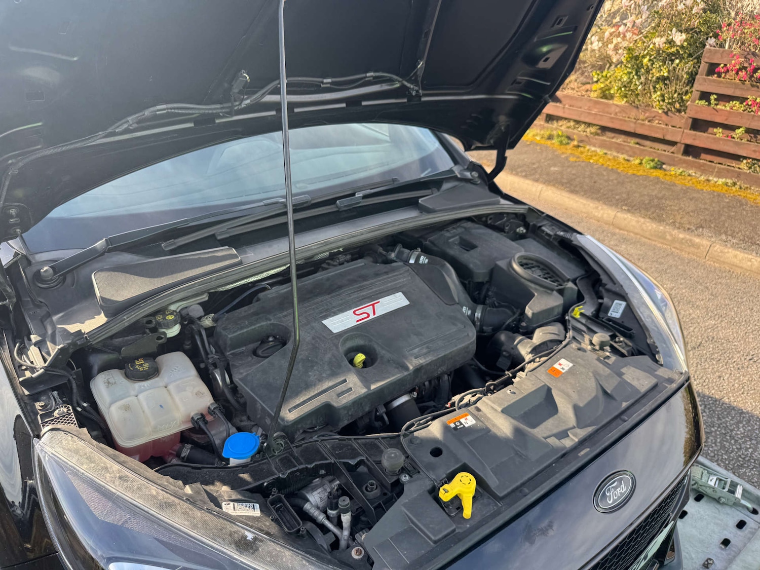 Used Ford Focus 2016 for sale - 78146001: Photo 19