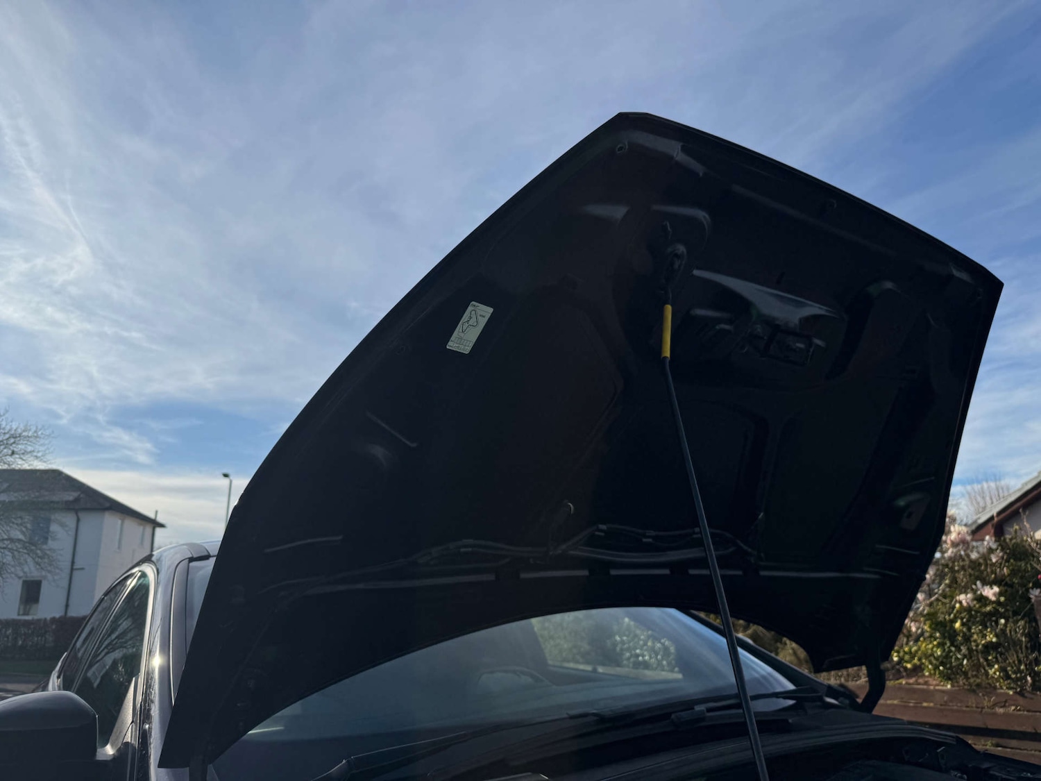 Used Ford Focus 2016 for sale - 78146001: Photo 21