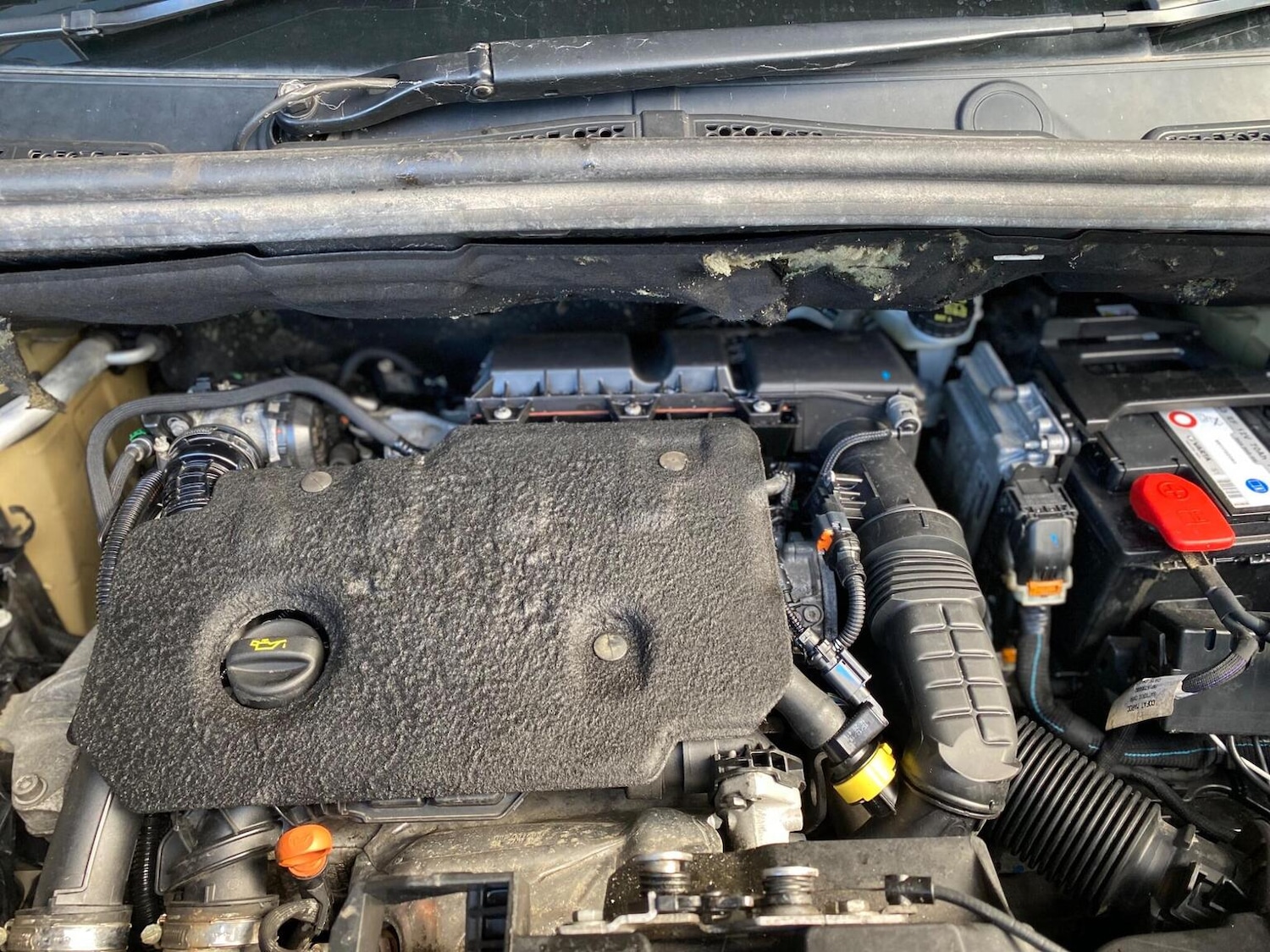 Used Citroen Berlingo 2020 for sale - 76237231: Photo 28