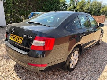 Used Skoda Octavia 2016 for sale - 79323742: Photo