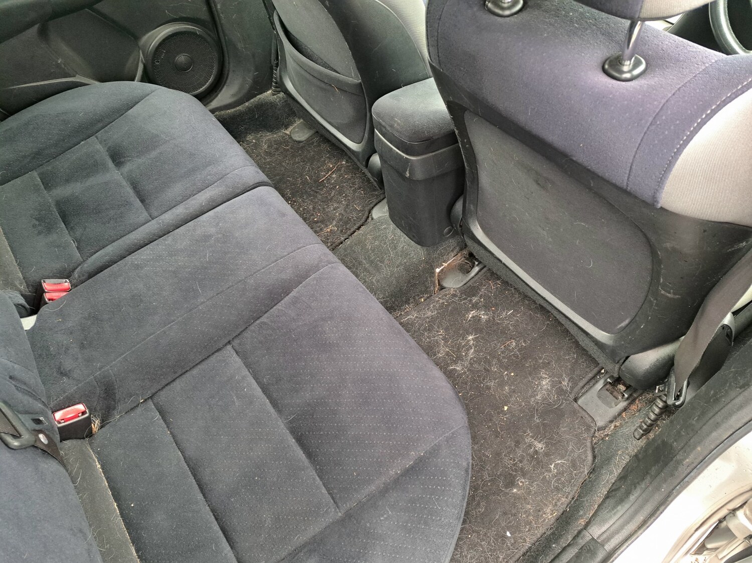 Used Honda Civic 2008 for sale - 77844984: Photo 11