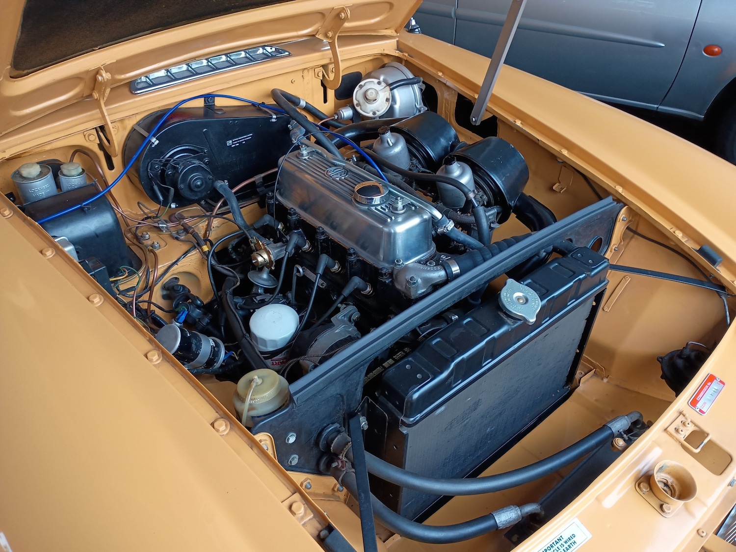 Used MG MGB GT 1972 for sale - 77629170: Photo 3