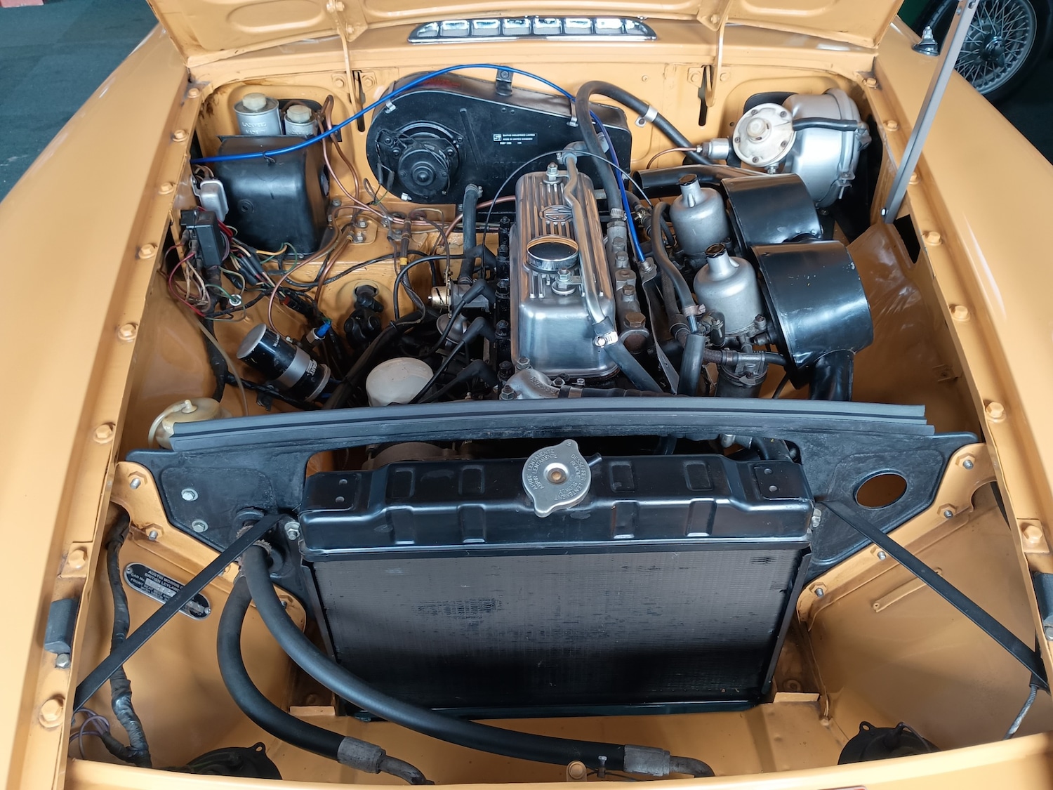 Used MG MGB GT 1972 for sale - 77629170: Photo 8