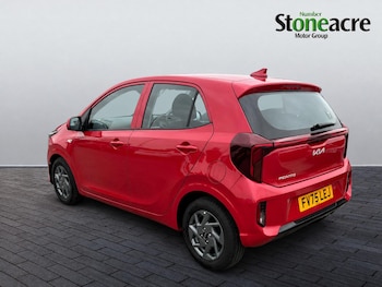 Used Kia Picanto 2025 for sale - 79441668: Photo