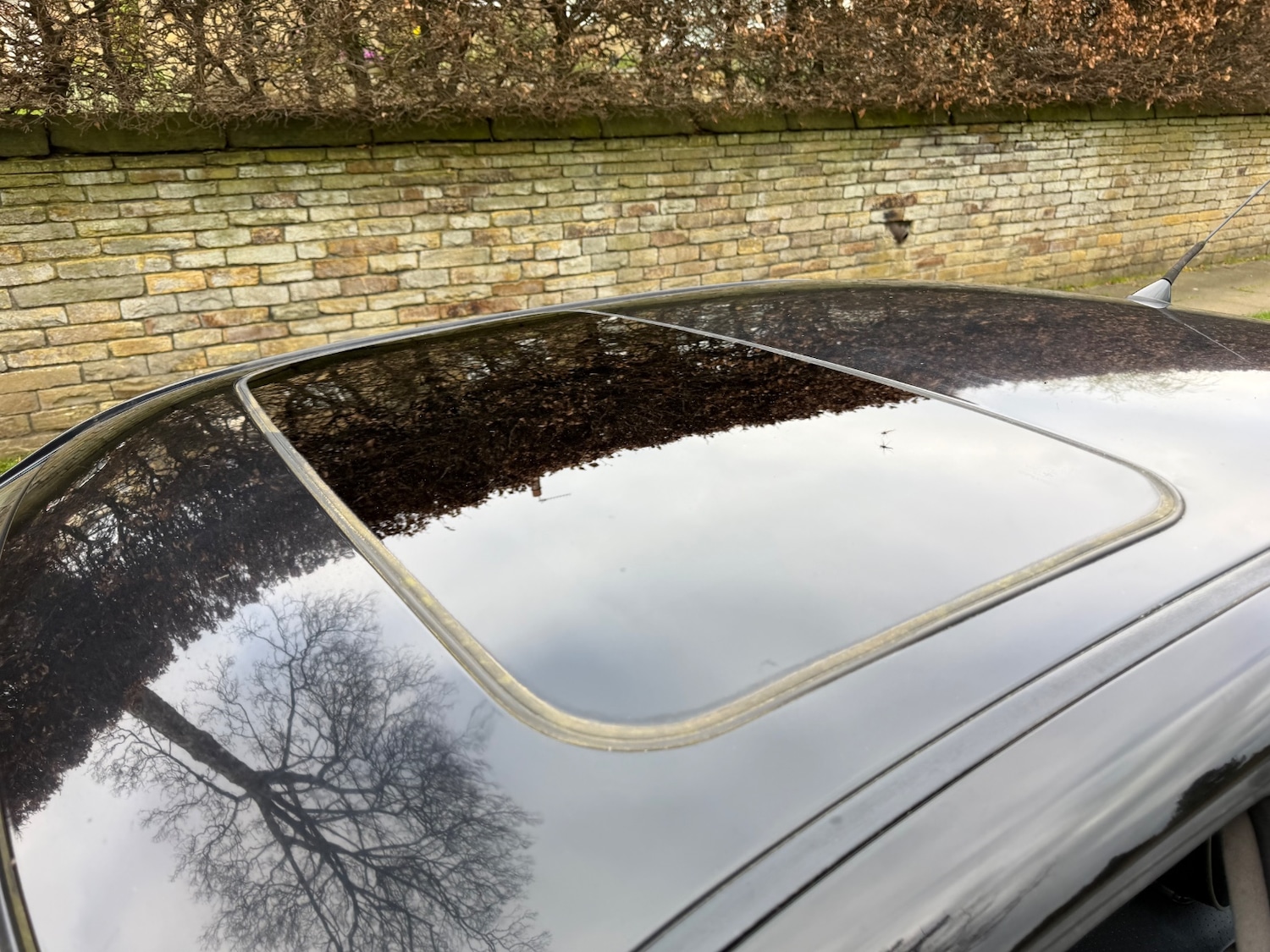 Used Lexus IS 2003 for sale - 78087219: Photo 16