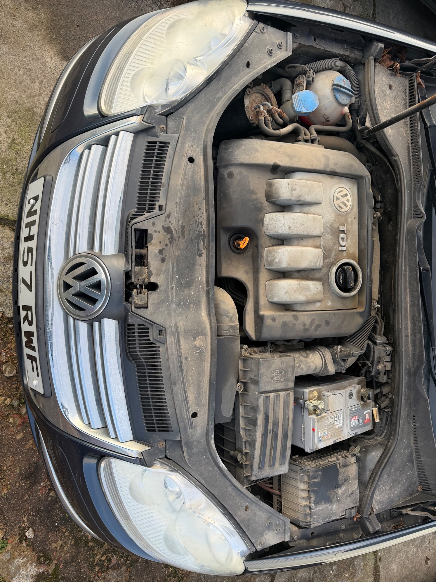 Used Volkswagen Golf 2008 for sale - 77636369: Photo 8