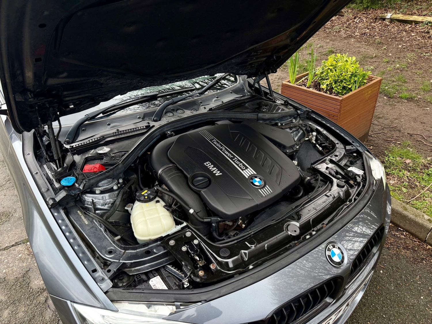 Used BMW 3 Series 2017 for sale - 78148452: Photo 12