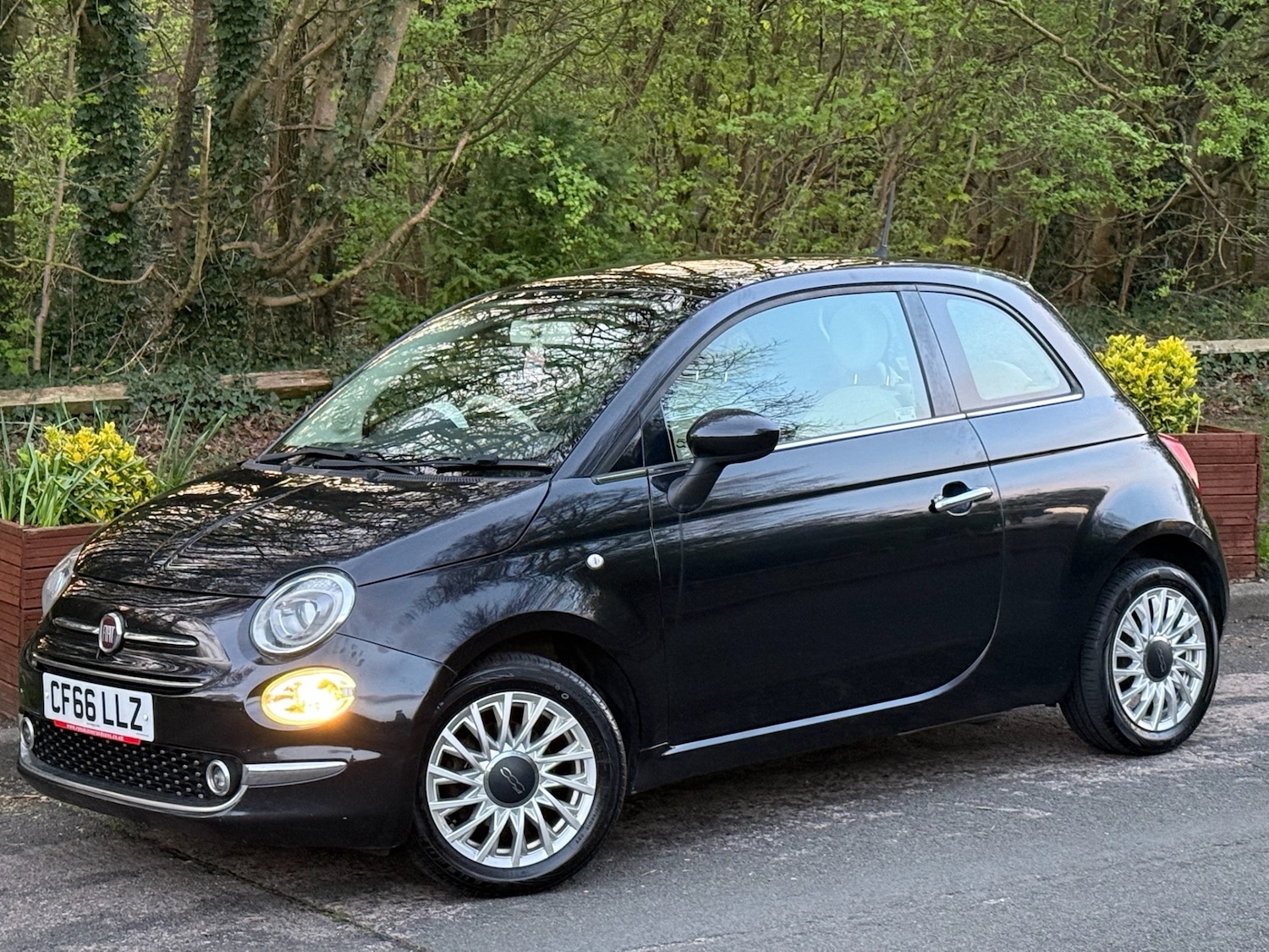 Used Fiat 500 2017 for sale - 78125493: Photo 3