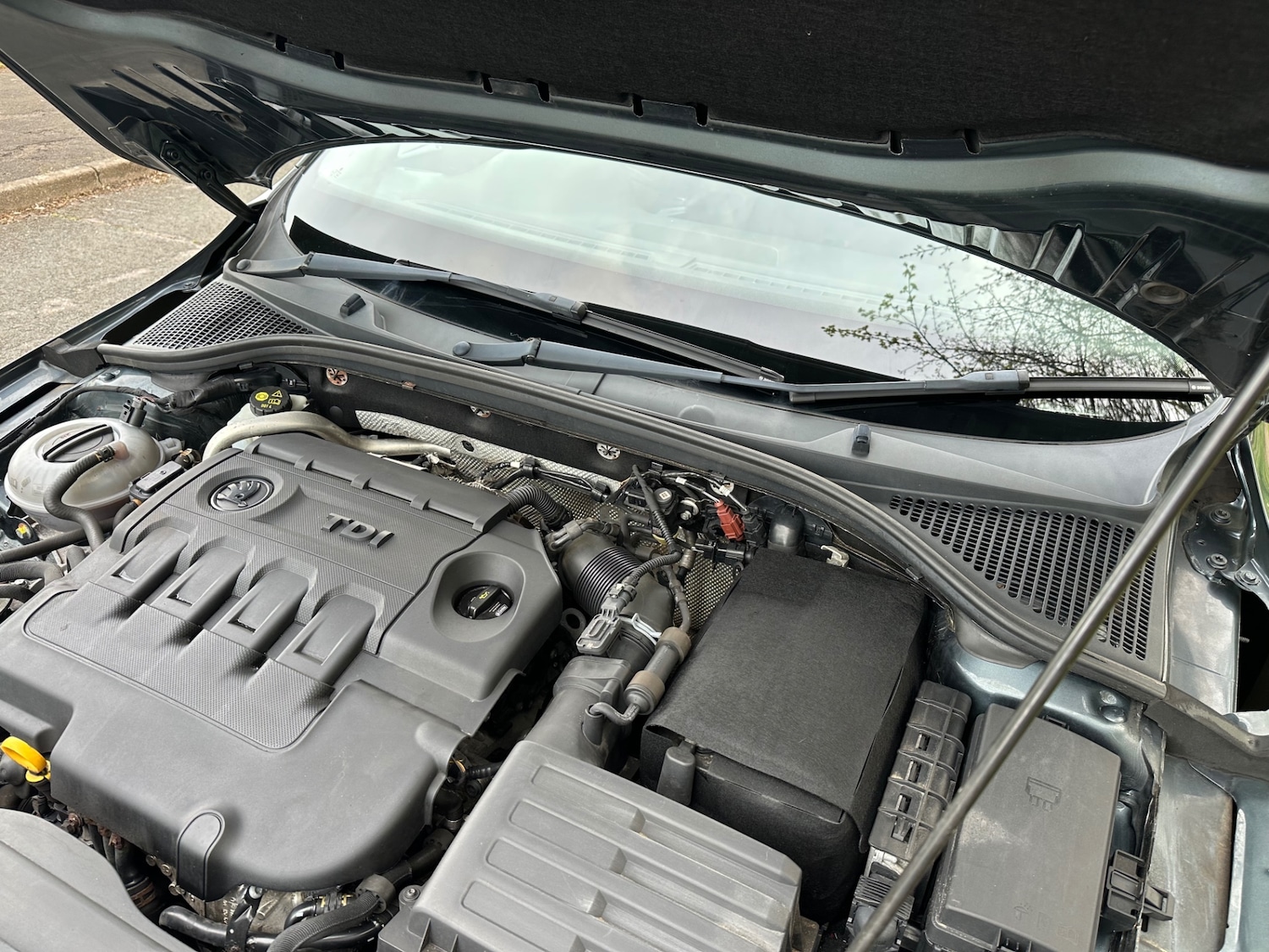 Used Skoda Octavia 2016 for sale - 78125534: Photo 11