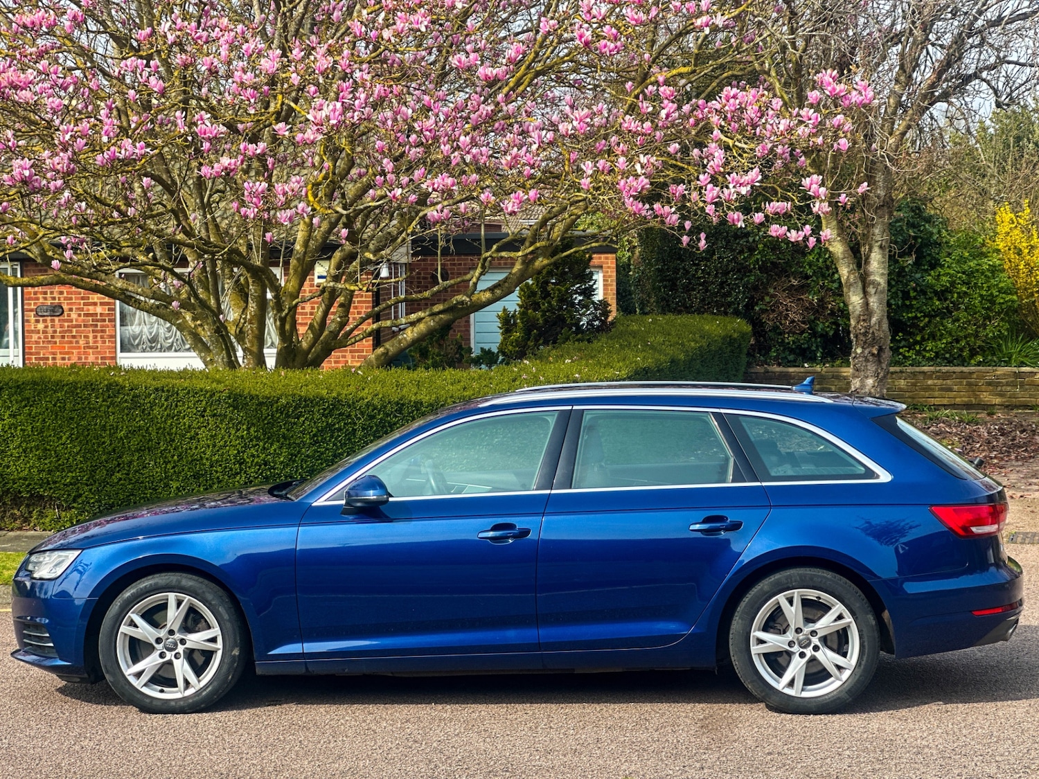 Used Audi A4 2016 for sale - 77970789: Photo 6