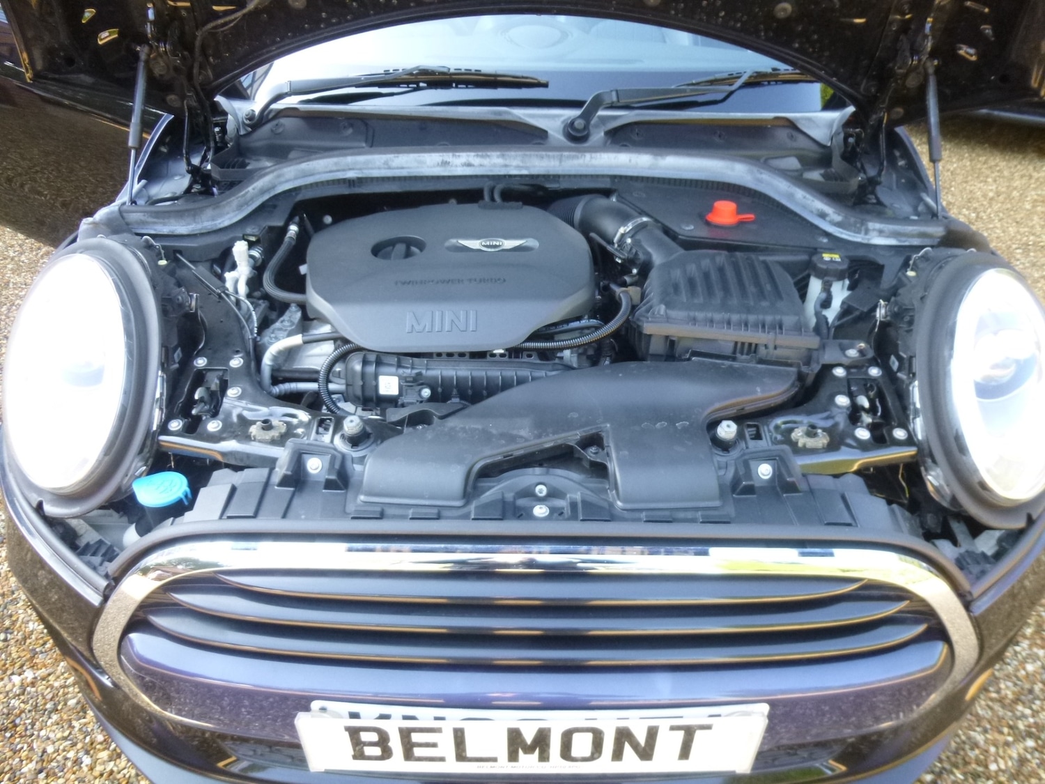 Used MINI Convertible 2016 for sale - 77766801: Photo 33