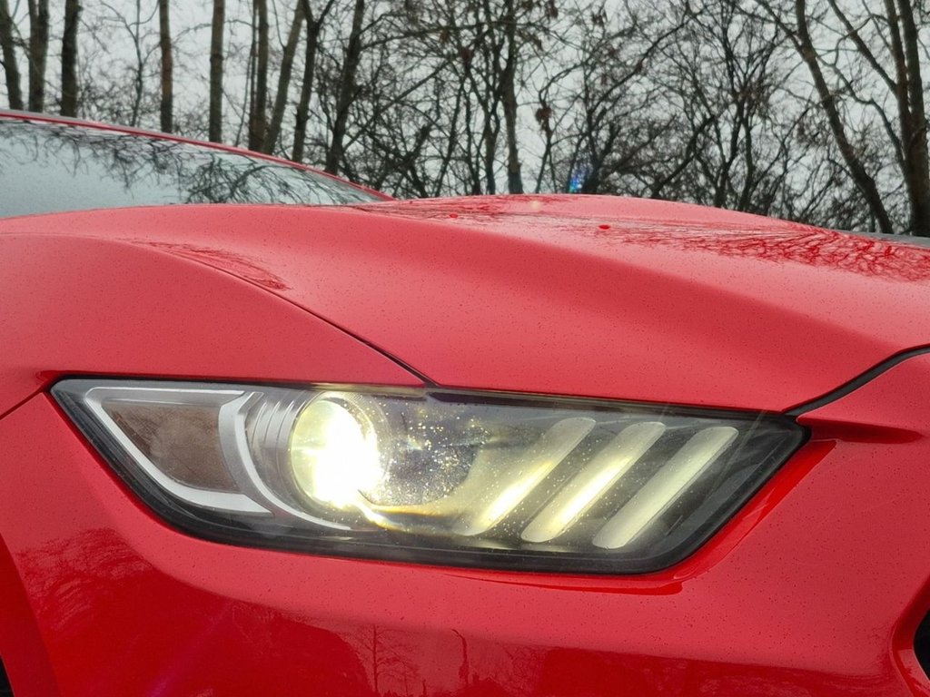 Used Ford Mustang 2018 for sale - 77275837: Photo 36