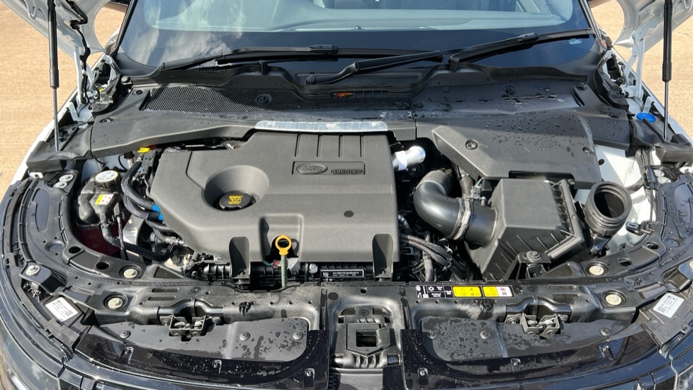 Used Land Rover Range Rover Evoque 2025 for sale - 76466302: Photo 30