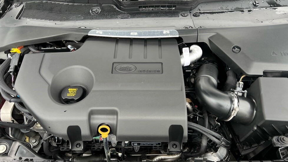 Used Land Rover Range Rover Evoque 2025 for sale - 76773185: Photo 30